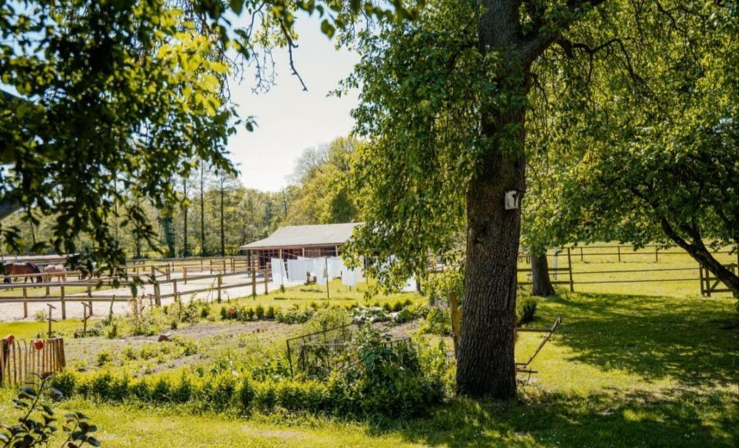 Ferienhof Trapp Ellringen Esterno foto